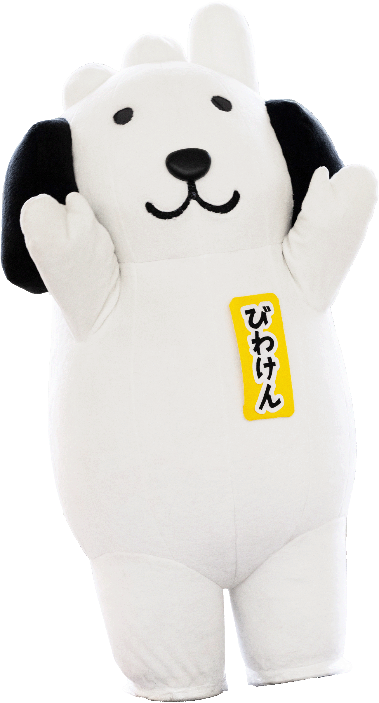 びわけん